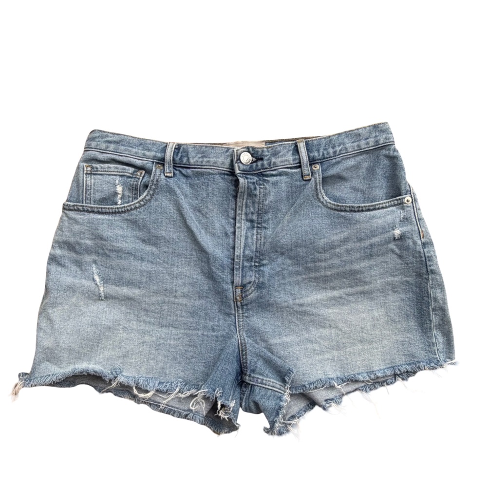 Everlane The Cheeky Short Denim Distressed
